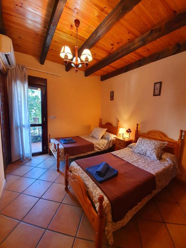 Comfort Triple Room with Shower image 3