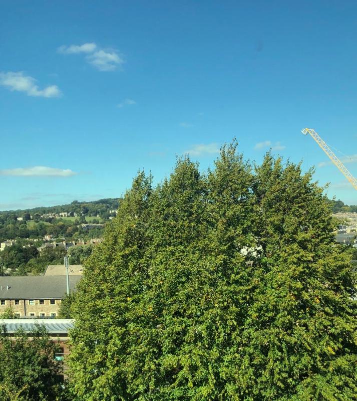 One-Bedroom Apartment image 2