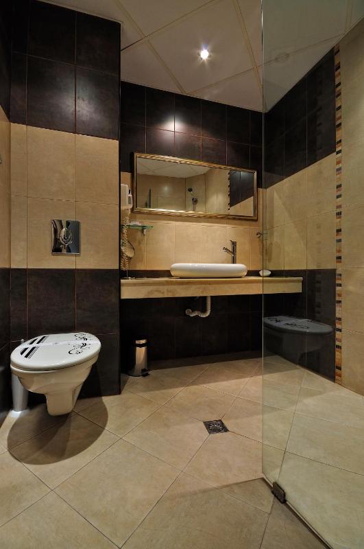 Deluxe Twin Room image 2