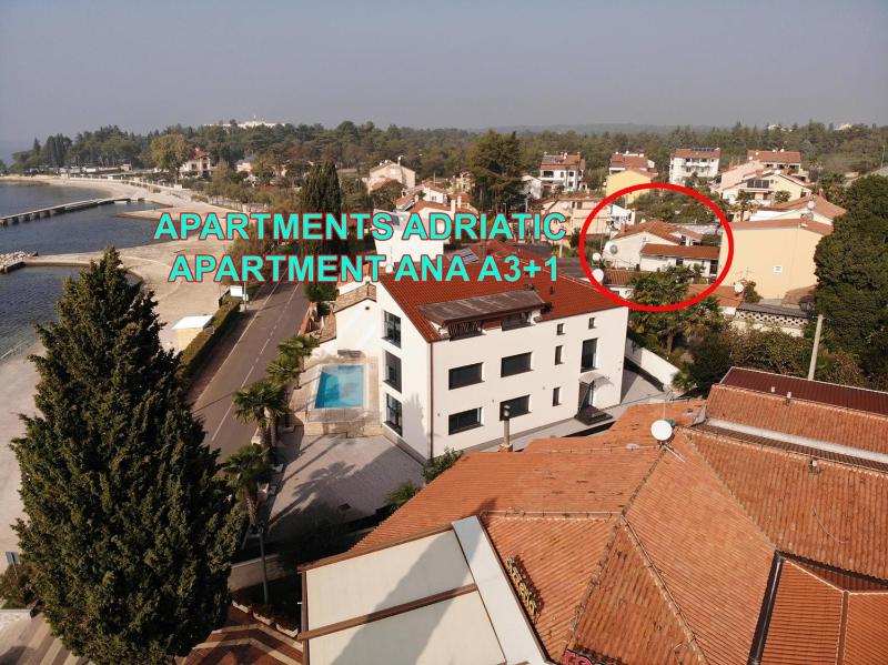 One-Bedroom Apartment image 1