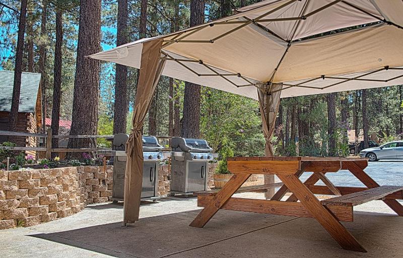 GetAways at Snow Lake Lodge - image 13