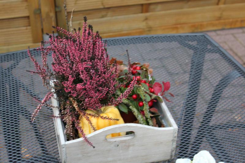 Three-Bedroom Apartment with Terrace image 1