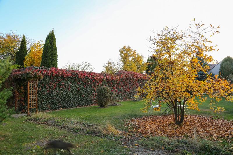 Villa Umberti - image 12