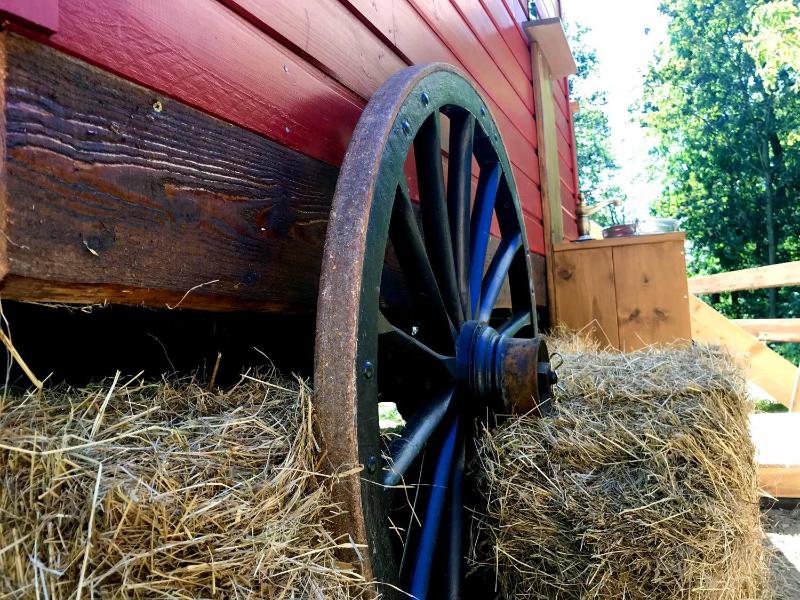 Chuck wagon Camp (for group) image 3