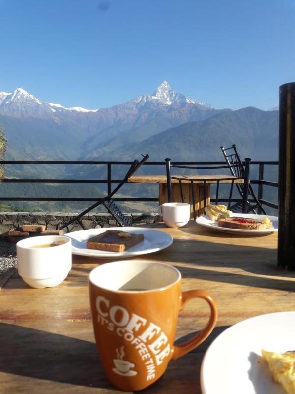 Mone's Mountain View Hotel - image 11