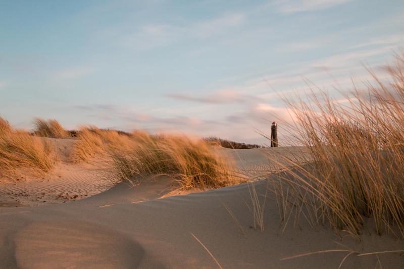 Strandbude Borkum - image 40