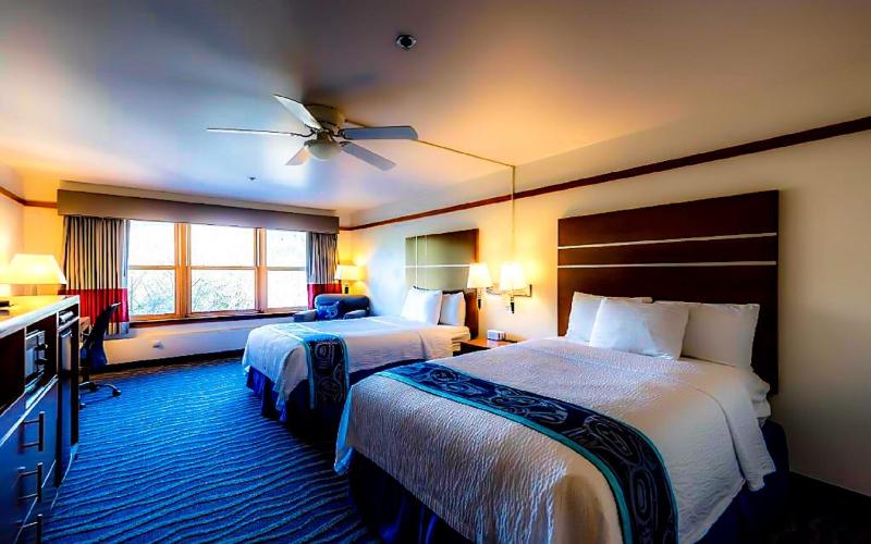 Standard Double Room image 1