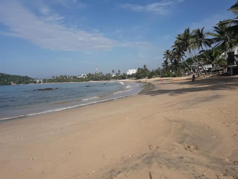 Seaside View - image 10
