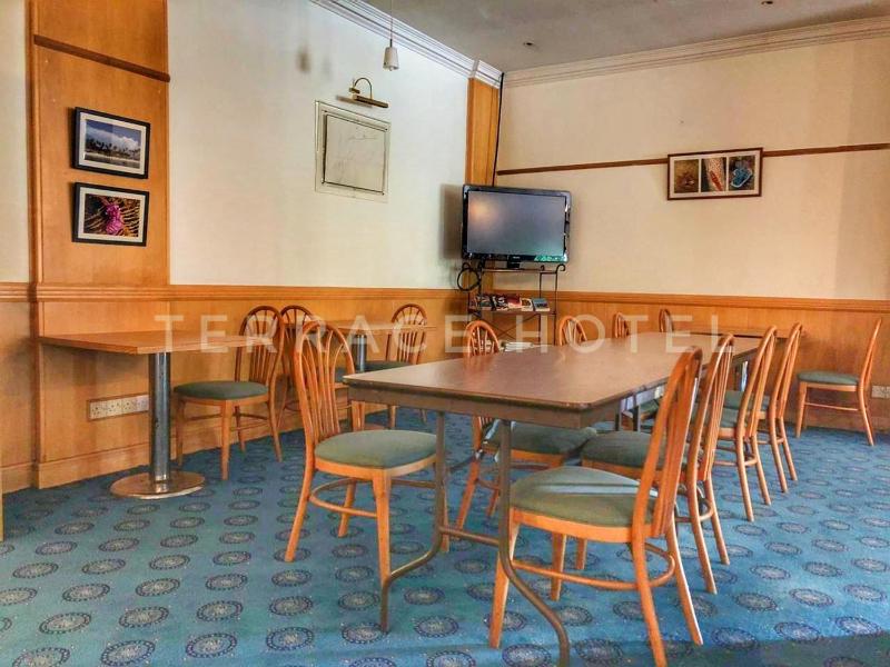 Terrace Hotel - image 11
