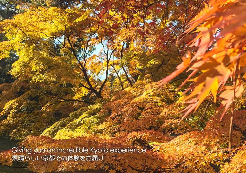Kyoto Miyabi Inn - image 16
