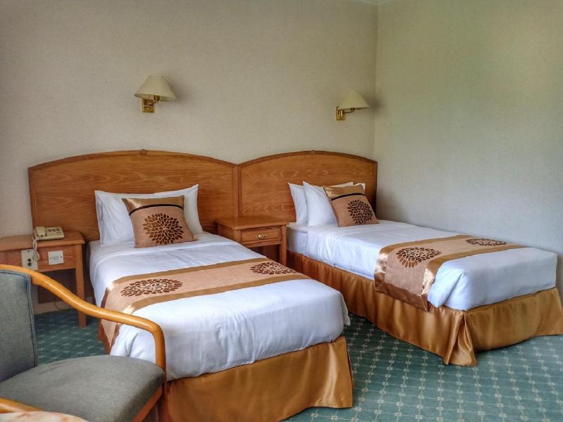 Terrace Hotel - image 2