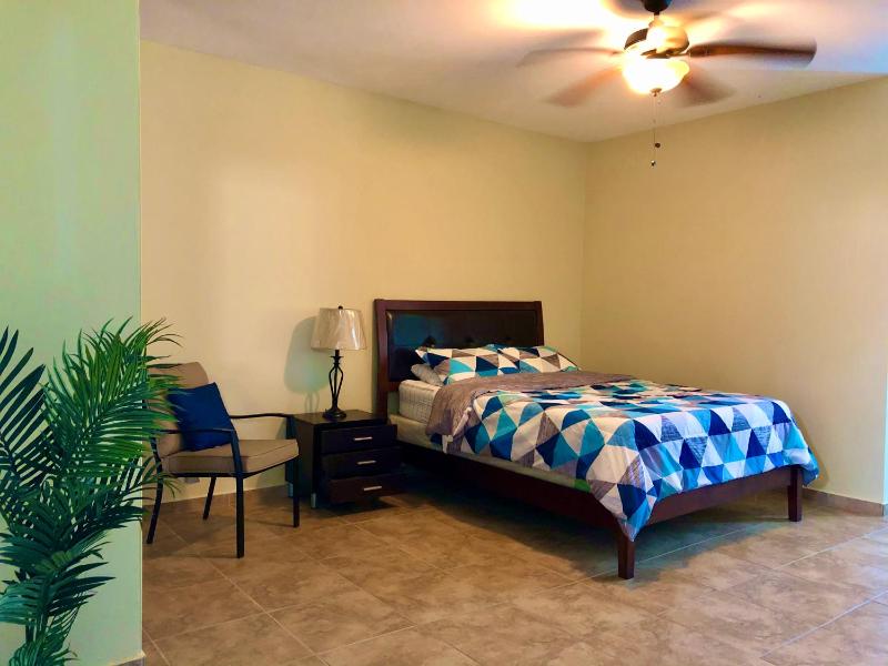 Large Single Room image 4