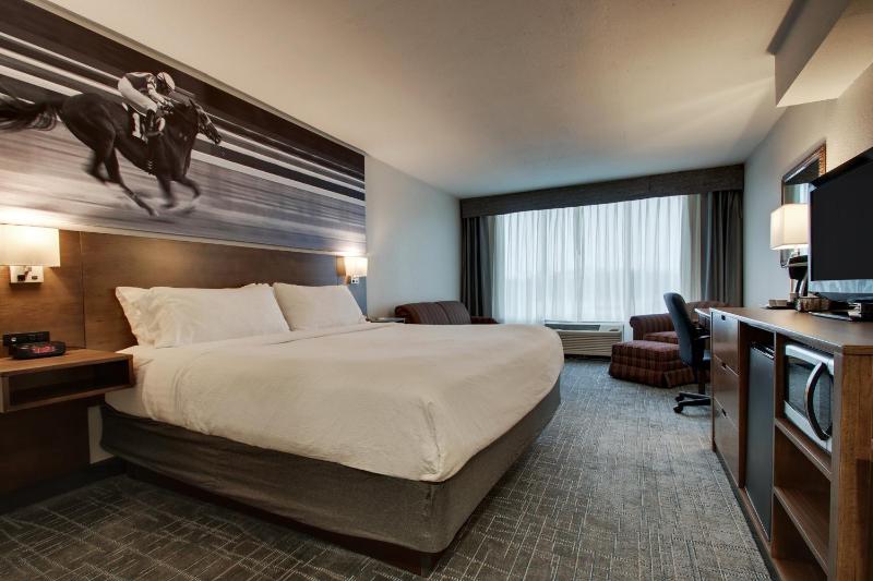 King Room with Roll-In Shower - Mobility Access/Non-Smoking image 3