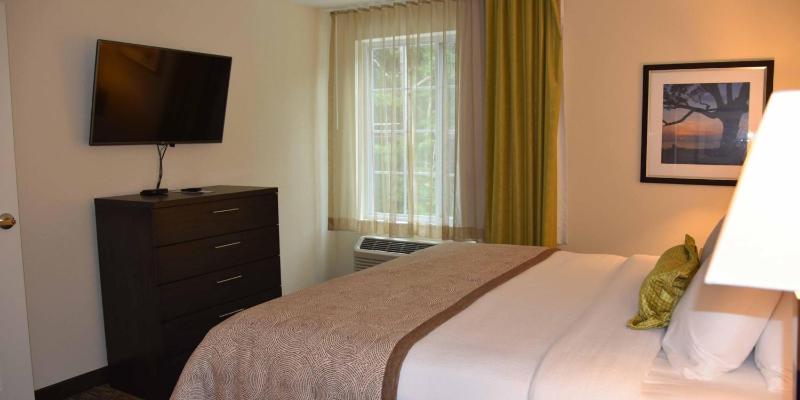One-Bedroom Queen Suite image 3