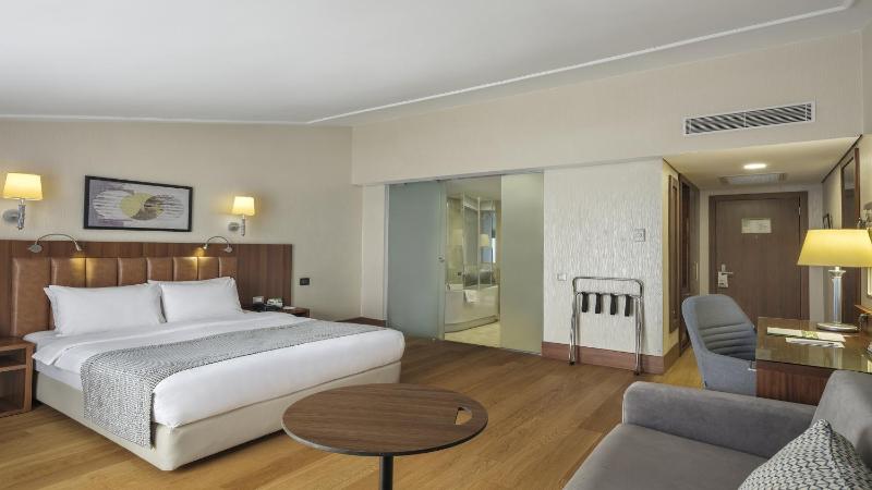   Executive Room with Sofa Bed – Non-Smoking  image 2