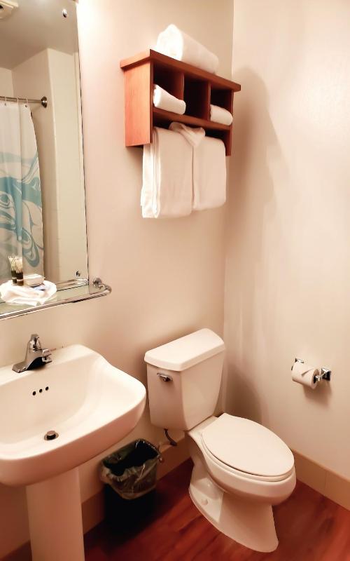 Standard Single Room with Mountain View image 3