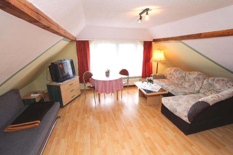 One-Bedroom Apartment image 3