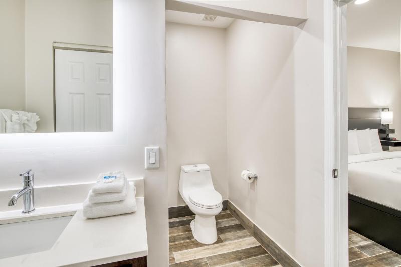 Deluxe King Suite - Non-Smoking image 2