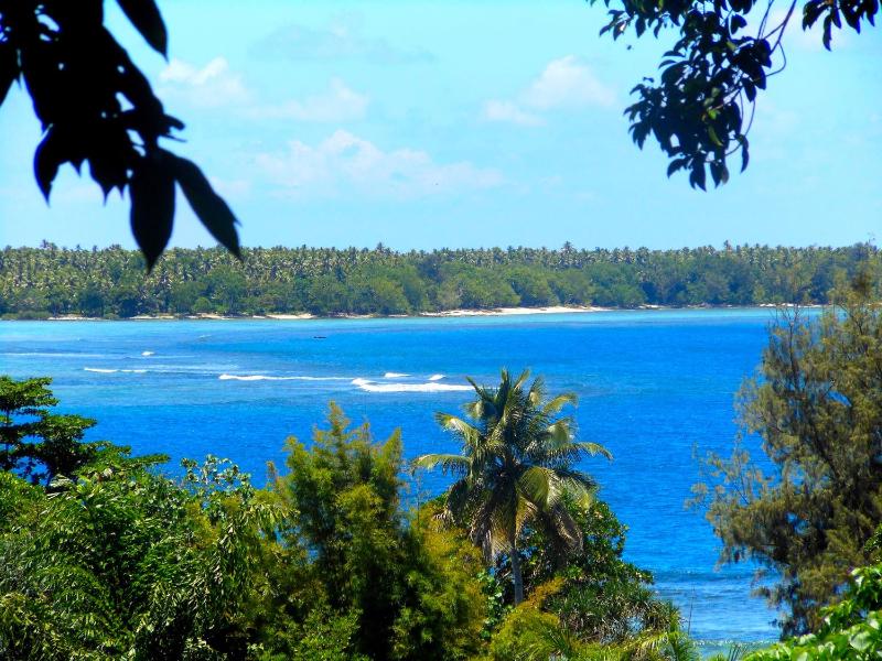 Treetops BnB & Bungalows - image 16