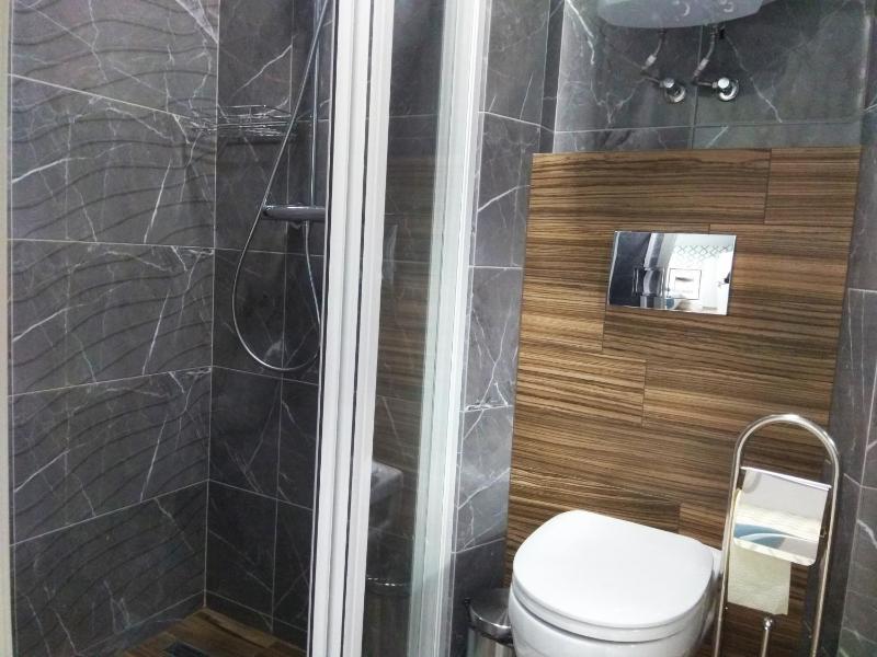 Comfort Triple Room with Shower image 3