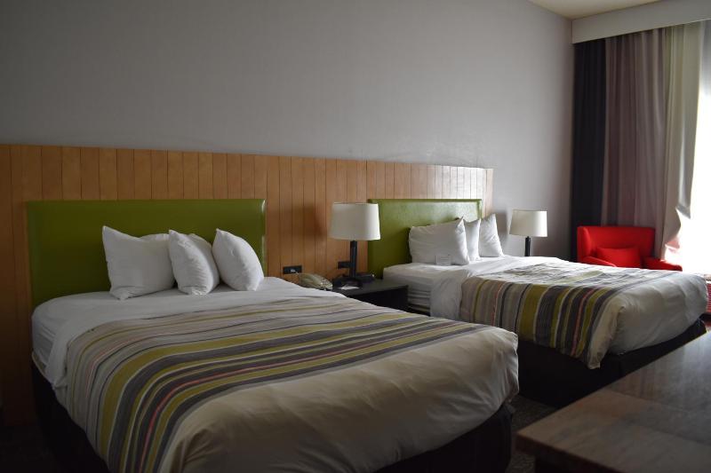 Queen Room with Two Queen Beds - Disability Access/Non-Smoking image 4