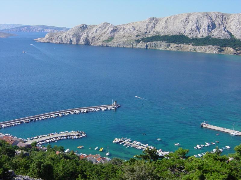 One-Bedroom Apartment image 4