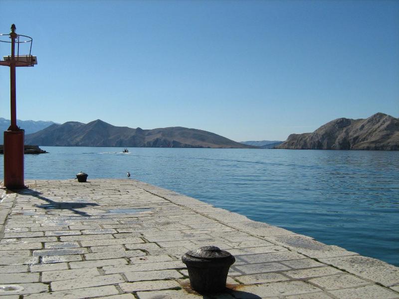 One-Bedroom Apartment image 2