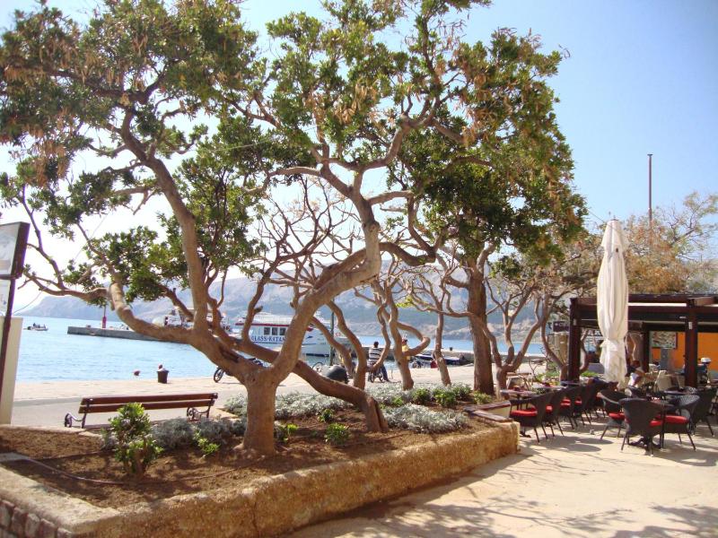 One-Bedroom Apartment image 3