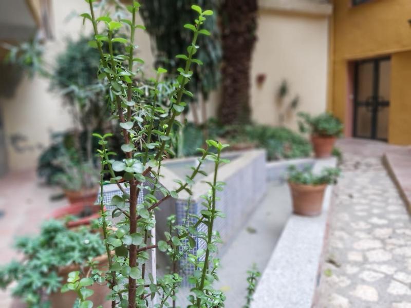 Del parque flats estudio martires - image 18