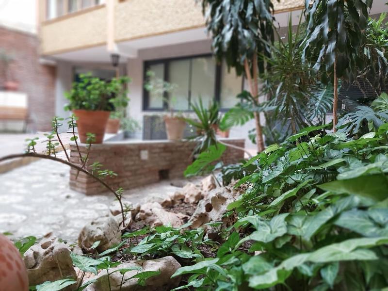 Del parque flats estudio martires - image 3
