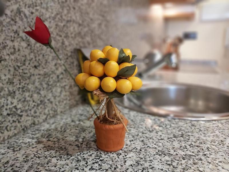 Del parque flats estudio martires - image 33