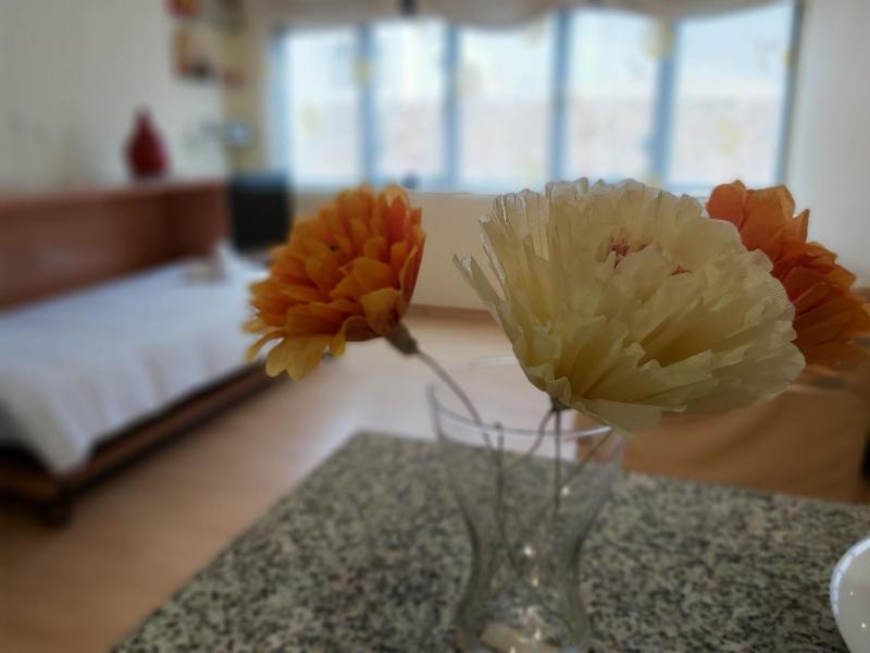 Del parque flats estudio martires - image 19