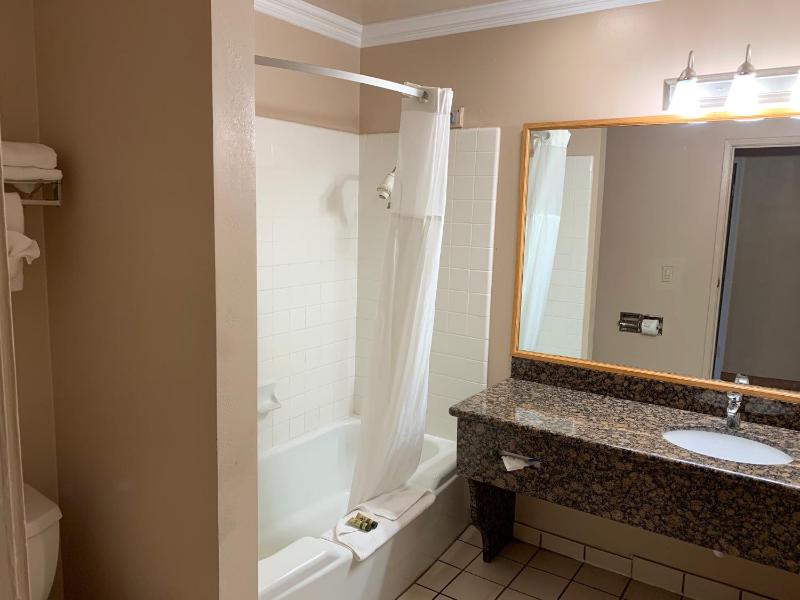 Three-Bedroom Suite image 3