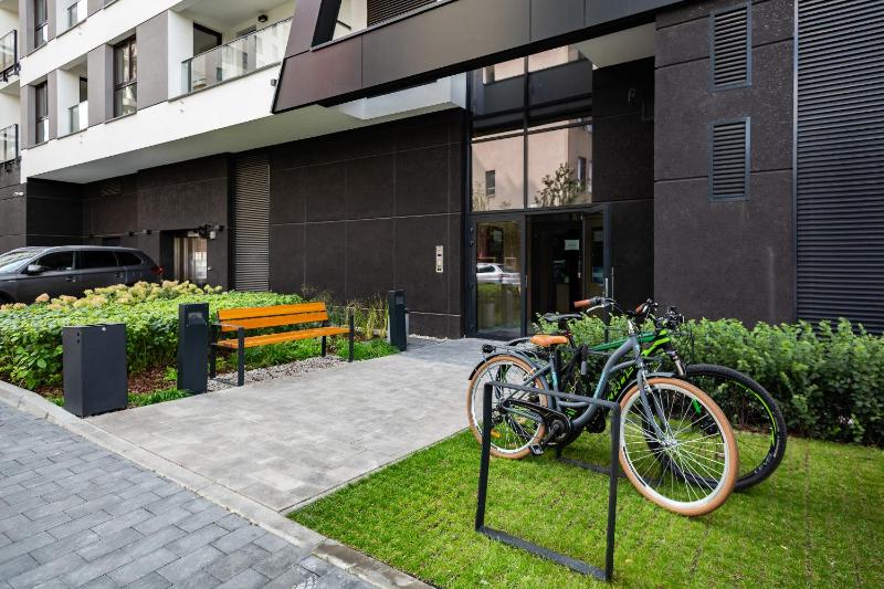 One-Bedroom Apartment image 3