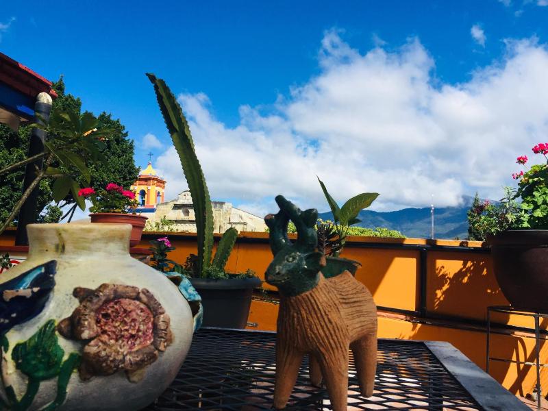 Hotel Cazomalli Oaxaca - image 12