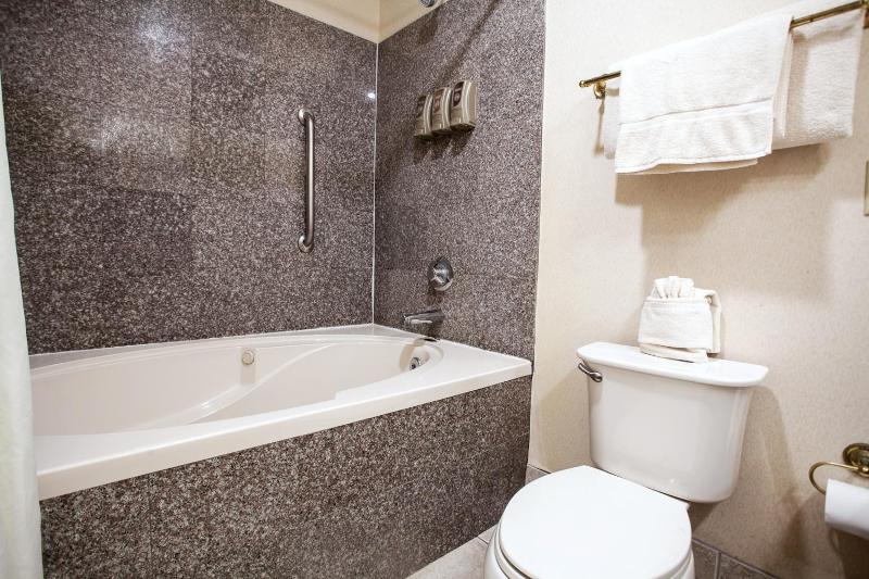 The O'Brien Riverwalk Hotel Trademark Collection by Wyndham - image 36