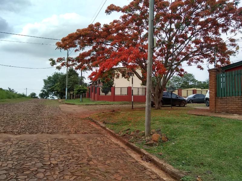 magia del iguazu - image 42