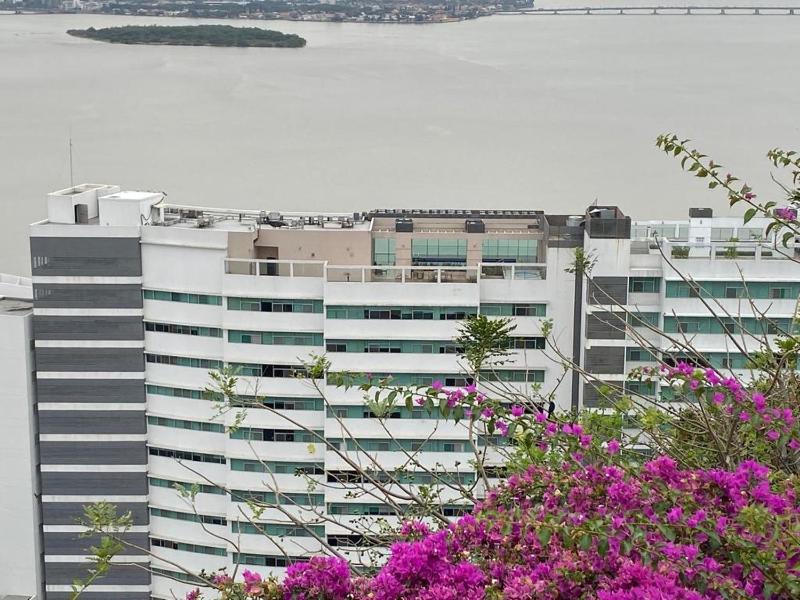 Puerto Santa Ana Suite con vista al Rio - image 12