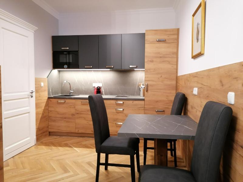 Business Studio Apartment image 3