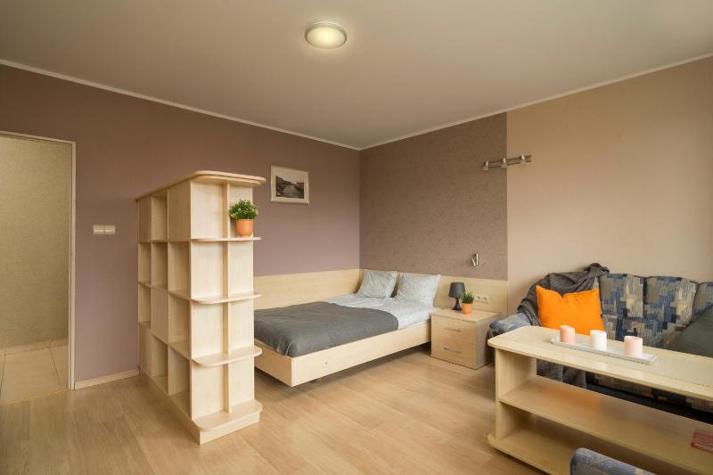 Kaskada Spa & Comfort Willa - image 3