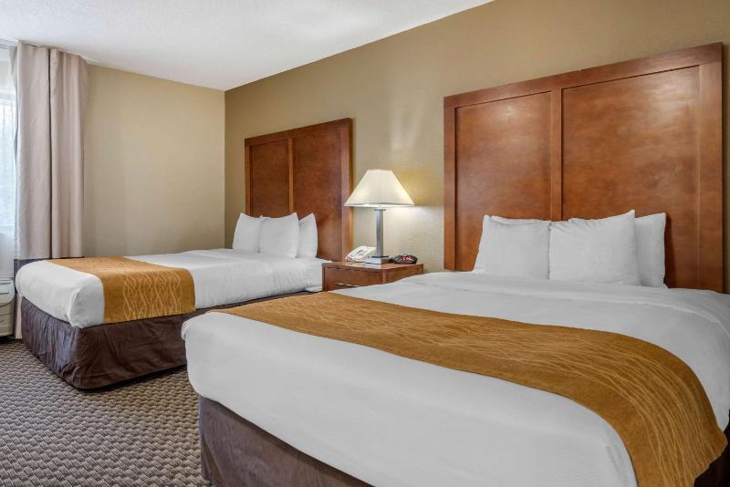 Queen Room with Two Queen Beds - Non-Smoking image 3