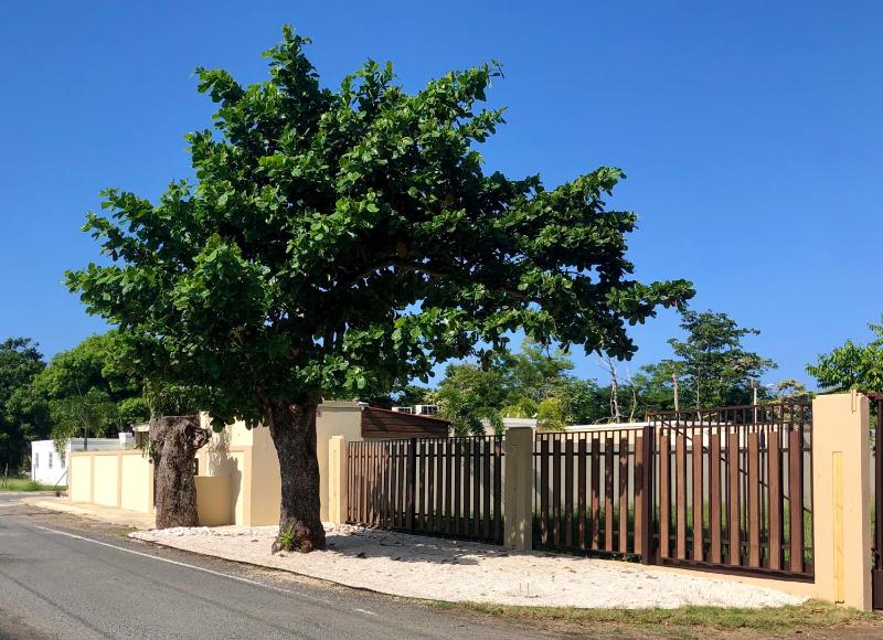 Three-Bedroom Villa image 1