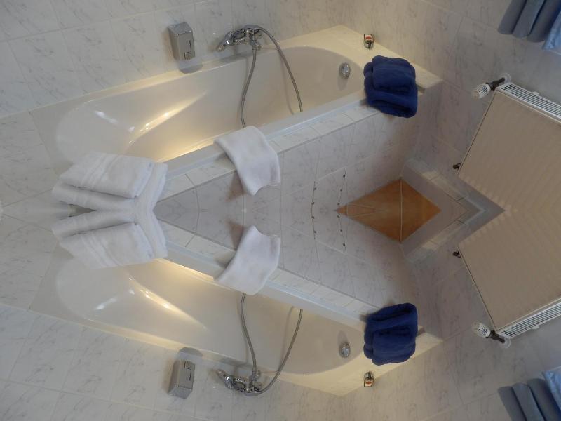 Deluxe Suite image 4