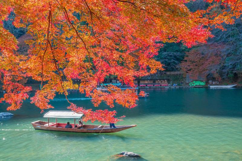 Cochien Imperial Garden - image 8