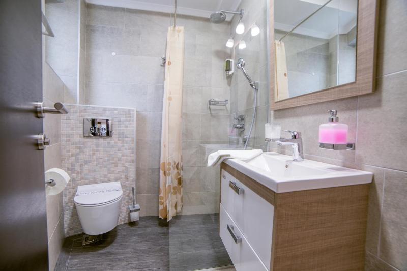 One-Bedroom Apartment image 4