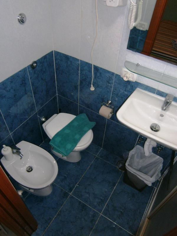 Double or Twin Room image 4
