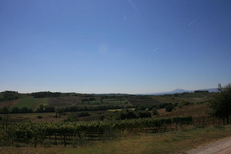 Fattoria Le Chianacce - image 43