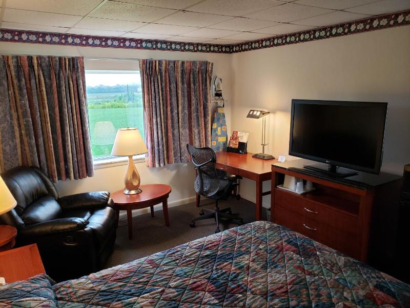 King Room - Non-Smoking image 1