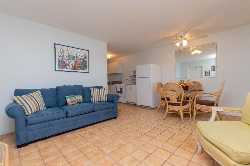 Suite 9 - Not Pet Friendly image 2