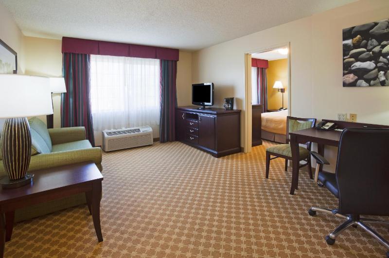 One-Bedroom Queen Suite with Sofa Bed image 3